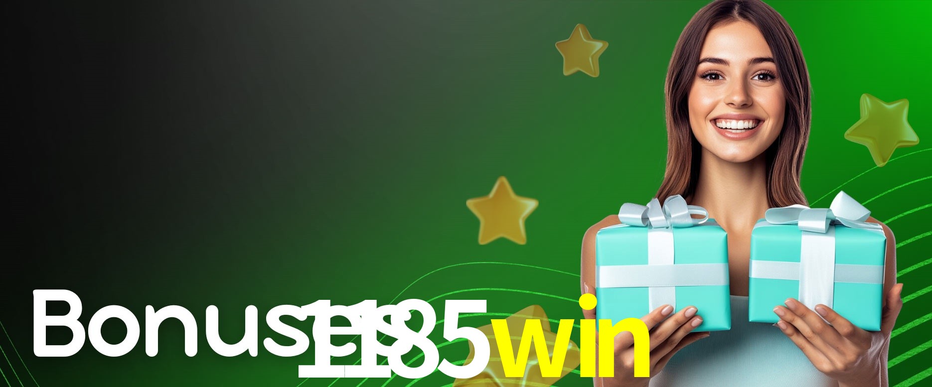 Security Systems 1185win